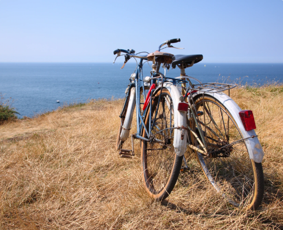 Picture of Renting bicycles