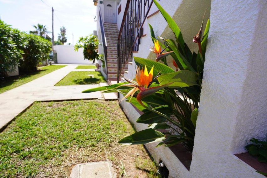Communal garden at Retiro Sol urbanisation in Denia,