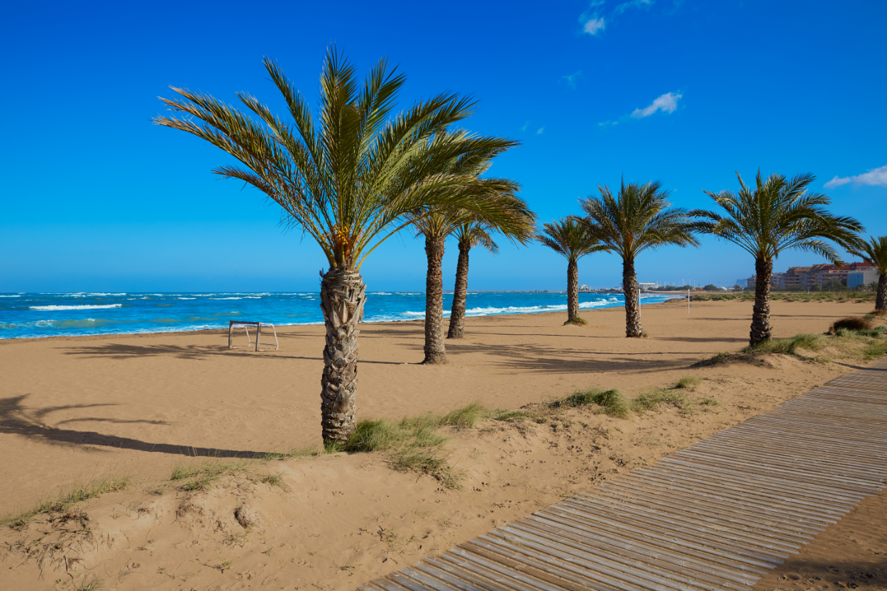Sandy beach in Dénia with palm trees and Mediterranean sea on the Costa Blanca