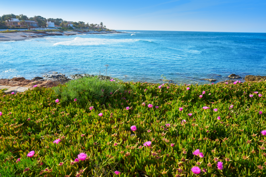 Rocky coastline in Dénia with Mediterranean sea and coastal vegetation
