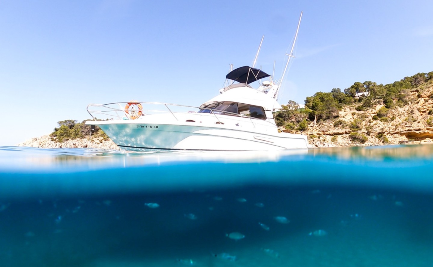 Picture of Renting boats