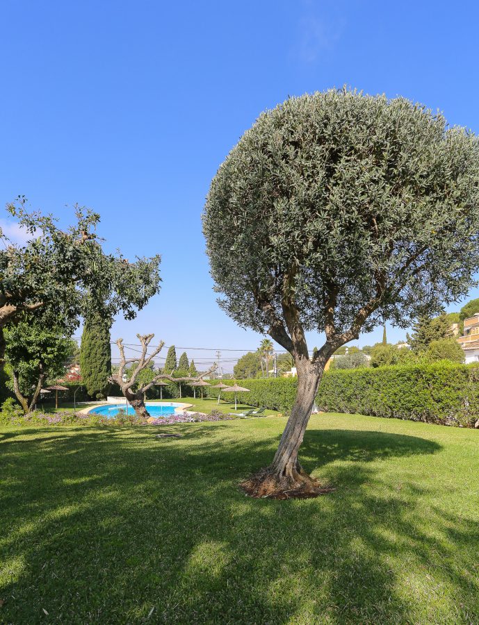 Photo of the apartment