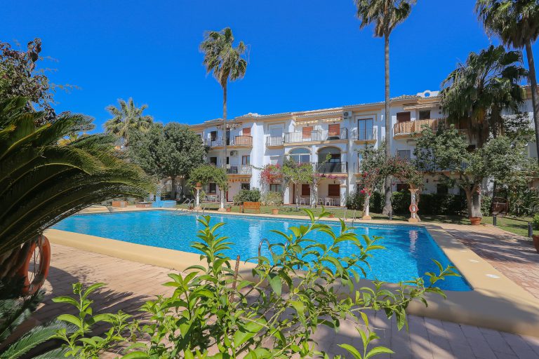 Swimming pool with palm trees at apartment El Patio in Dénia