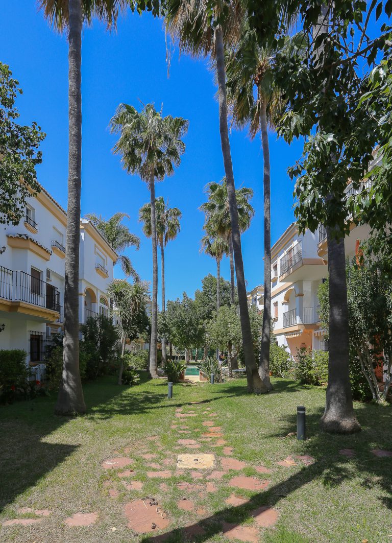 Palm trees in the garden at apartment El Patio in Dénia