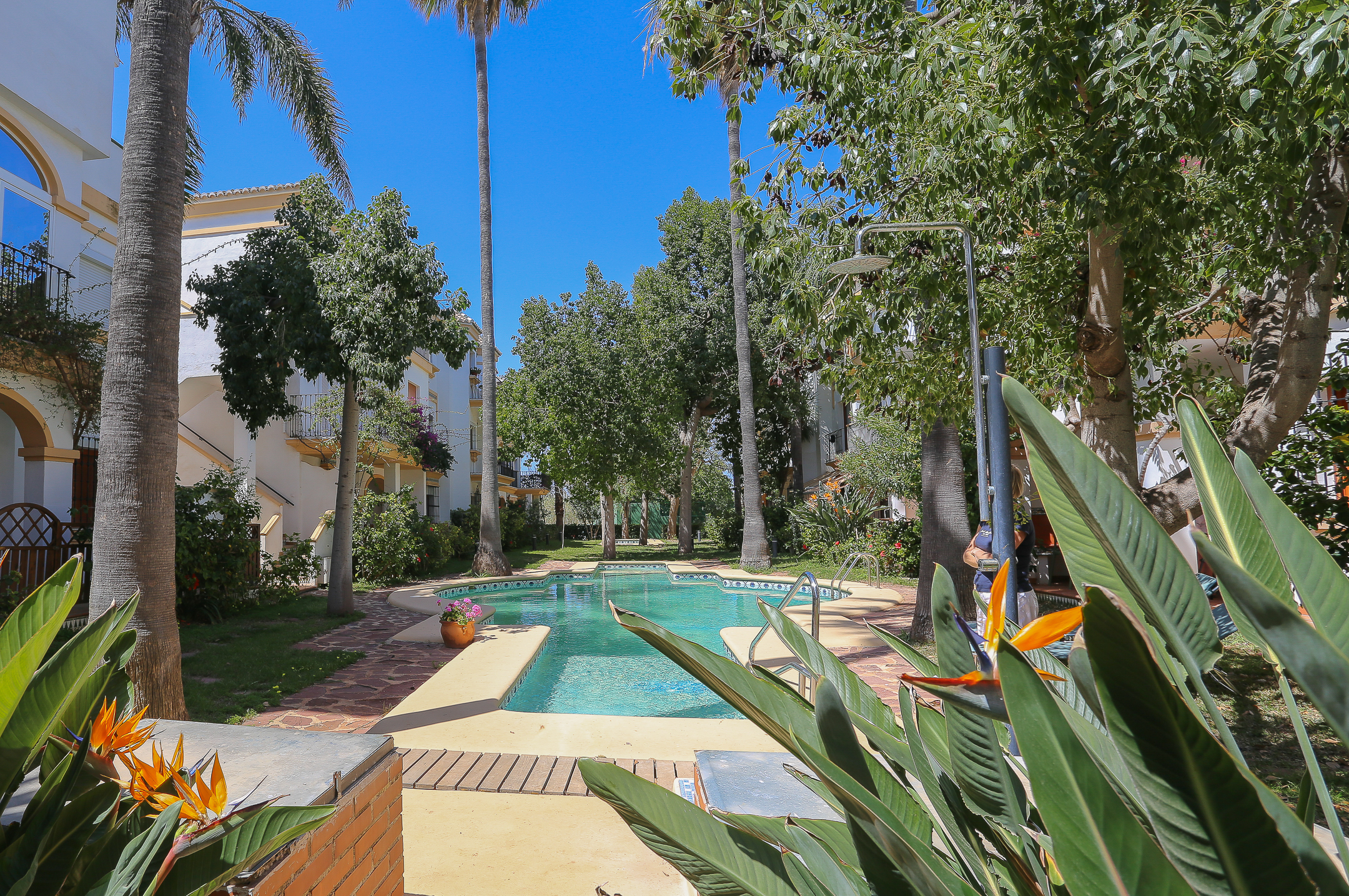 Communal pool area at apartment El Patio in Dénia
