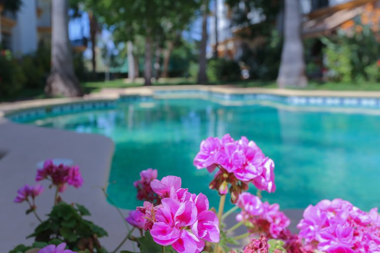 Swimming pool with flowers at apartment El Patio in Dénia
