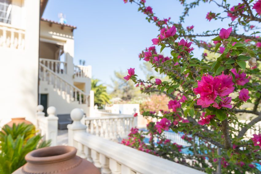 Photo of the apartment