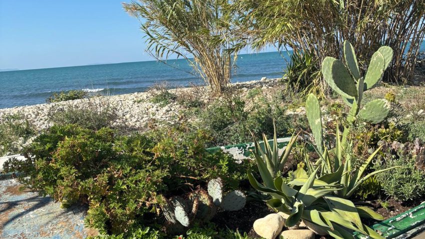 Mediterranean coastal garden in Els Poblets on the Costa Blanca